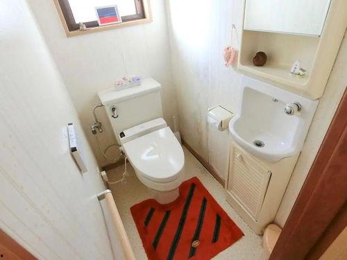 日本马桶整人,揭秘日本马桶的整人黑科技