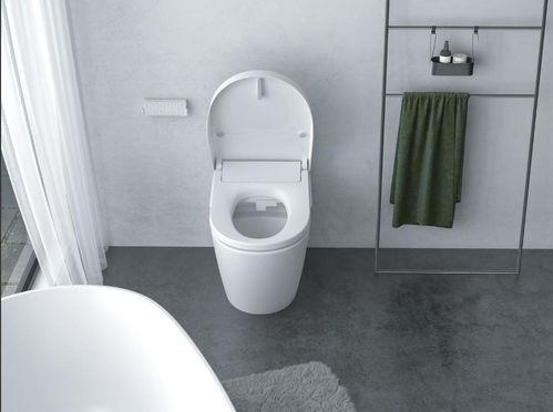 日本马桶整人,揭秘日本马桶的整人黑科技