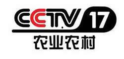 cctv八在线直播观看