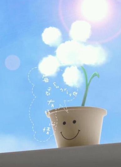 微信唯美图片大全,微信图片大全中的心灵画卷