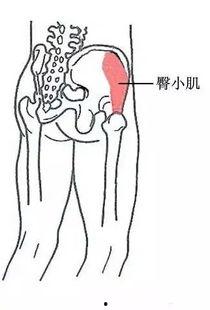 软组织损伤图片,软组织损伤病例图解与概述