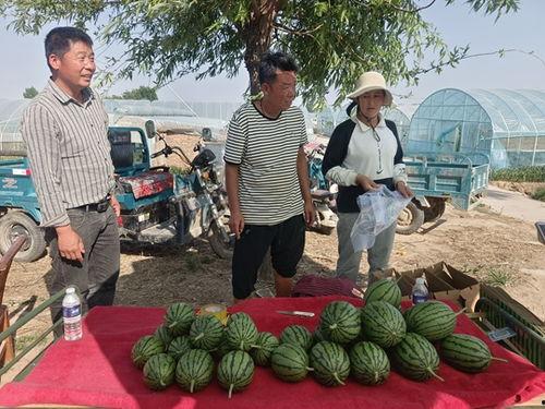 中牟县小吊瓜今日价格表,新鲜上市，实惠抢购！