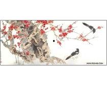 花鸟图片大全真实照片,花鸟图片大全中的真实瞬间