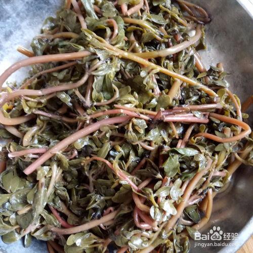 马齿苋的做法图片大全,多样做法，尽享田园风味