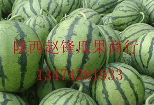 哈密瓜价格今日行情,价格波动解析与市场趋势洞察