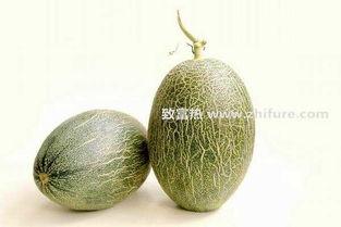 哈密瓜价格今日行情,价格波动解析与市场趋势洞察