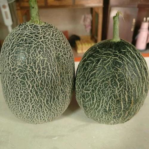 哈密瓜价格今日行情,价格波动解析与市场趋势洞察