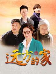 远方的家视频,探寻异域风情与文化交融之旅