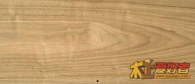 木材种类图片大全,图片解析与概述