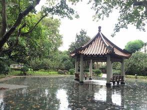 襄阳公园图片,古韵与现代交融的绿意盎然之地