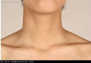 女性正常脖子图片大全,从图片大全看颈部线条与气质