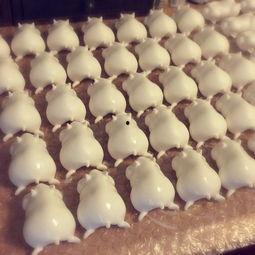 日本仓鼠面包,日系萌宠仓鼠与面包的甜蜜邂逅