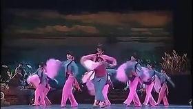 中国舞蹈教学视频,中国舞蹈教学视频精华解析