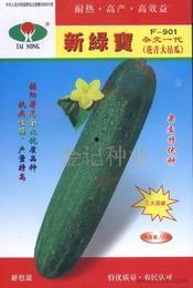 小吊瓜今日价格行情,价格波动解析与市场趋势洞察