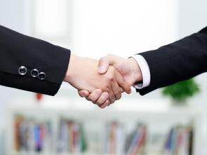 合作的图片,共创美好未来——合作共赢的精彩瞬间