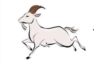 羊羊简笔画图片大全,可爱小羊的趣味描绘